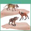Simulated Wild Animal Wolf Model Ornament For Childrens Education And Nature Display
