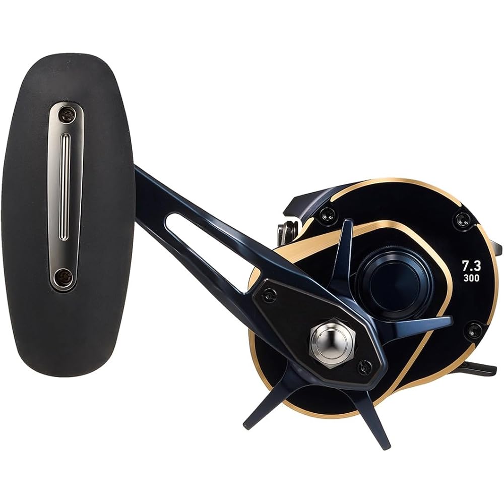 Daiwa (DAIWA) jigging bait reel SALTIGA (Saltiga) 300HL