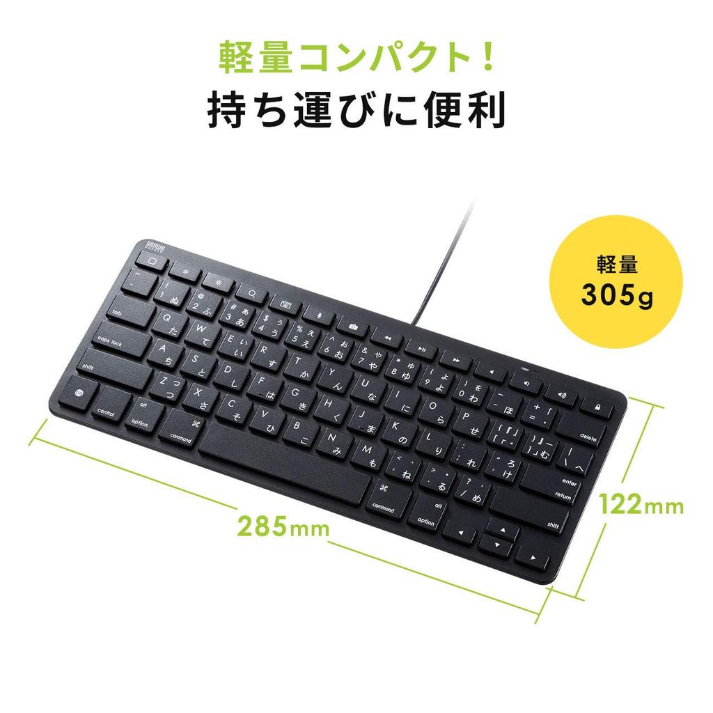 Sanwa Supply iPad Keyboard with Lightning Connection, Black, SKB-IP3BK