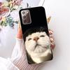 Clear For Samsung Galaxy Note20 5G Case Fashion Fashion Funny Cute Painted Cover For Samsung Note20 5G SM-N981B SM-N981W Casing