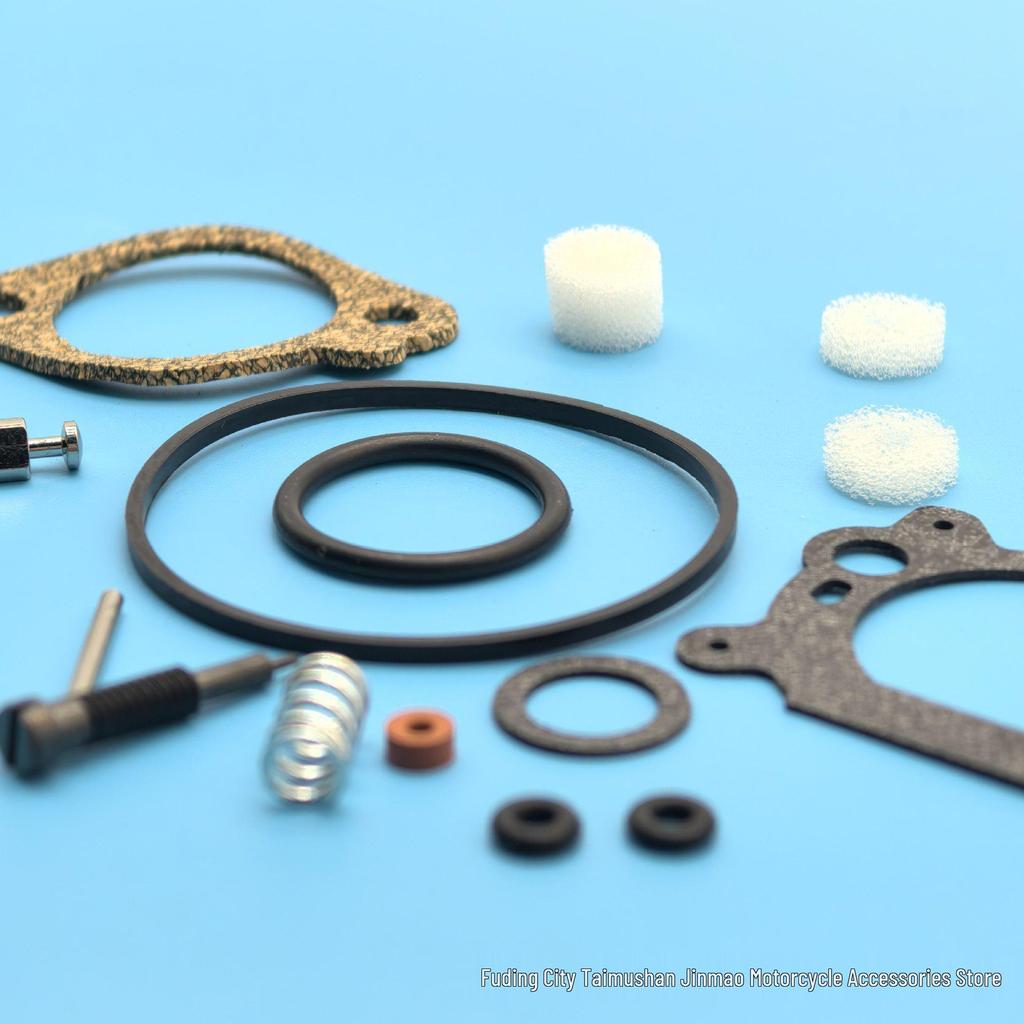 Briggs & Stratton Carburetor Repair Kit for 493762, 498260, and 12A800 Models