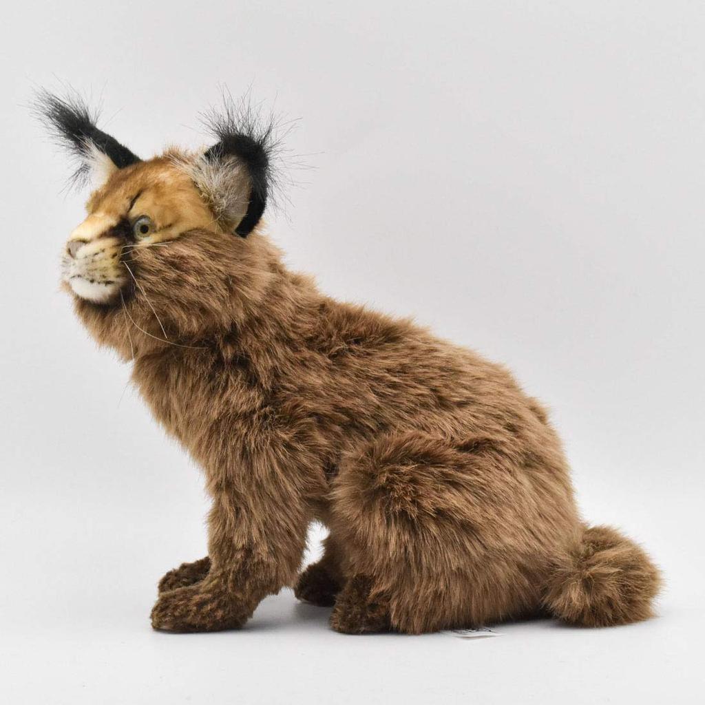 BH7047 HANSA Caracal 28