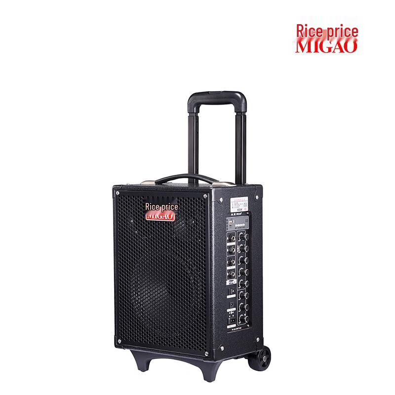 MiGao MG820A-LI Portable Outdoor Instrument Speaker