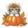 2D Flat Cat DIY Shaking Head Cat Pumpkin Diamond Painting Desktop Decorations