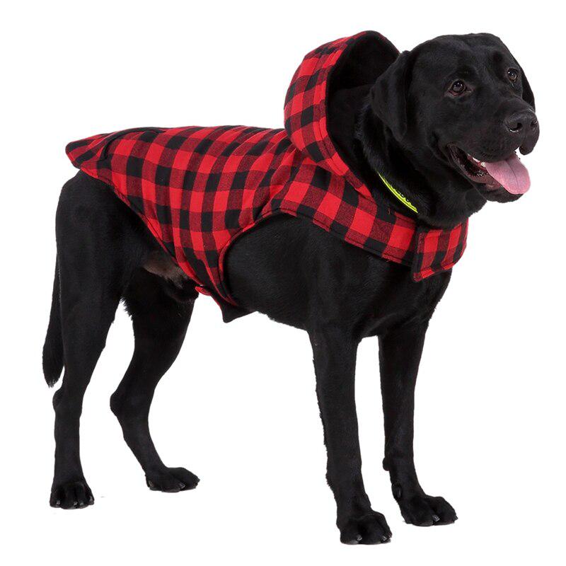 dog plaid shirt
