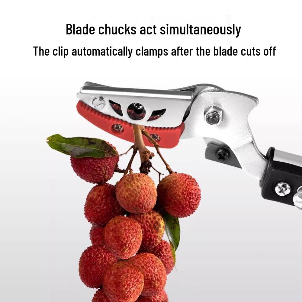 Телескопический высотный плодосборник и секатор для личи, восковницы и яблони