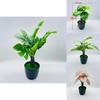 Artificial Indoor Plant Pot With Durable Material For Office Or Home Decor