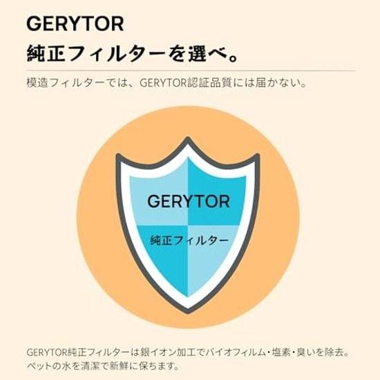 GERYTOR 4L Stainless Steel Pet Water Fountain Two Filters