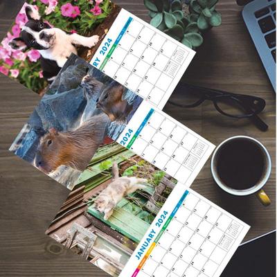 Dog Cat Capybara Wall Calendar 2024 Funny Animal Memo Wall Calendar Cute Funny Animal Calendar Gift Animal Style Wall Calendar