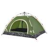 Vidaxl Tourist Tent, 2-Person, Green, Quick Setup