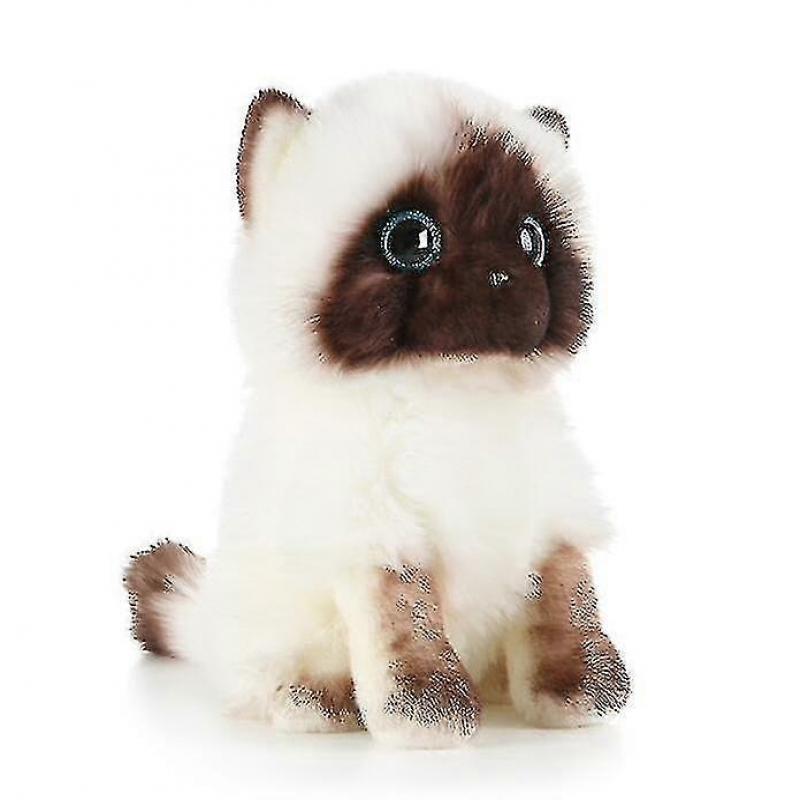 Simpatici Peluche Gatto Ragdoll