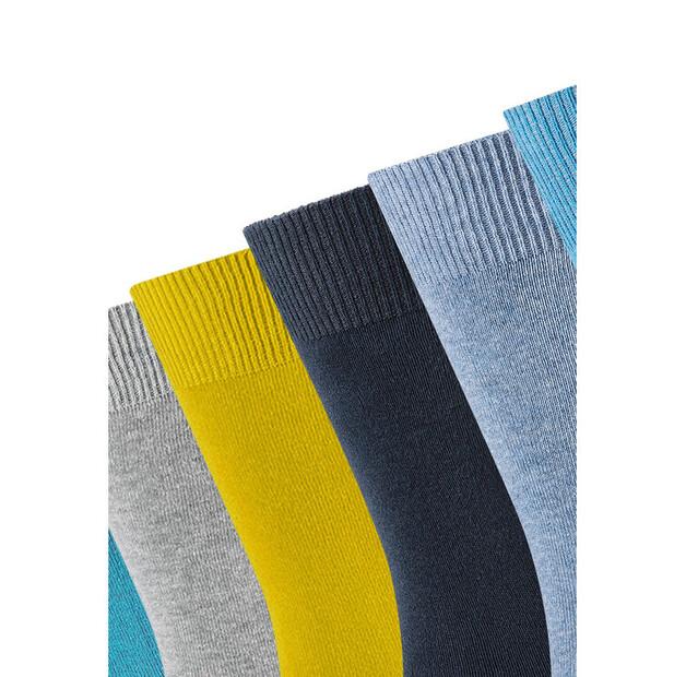 Носки длинные Camano 53