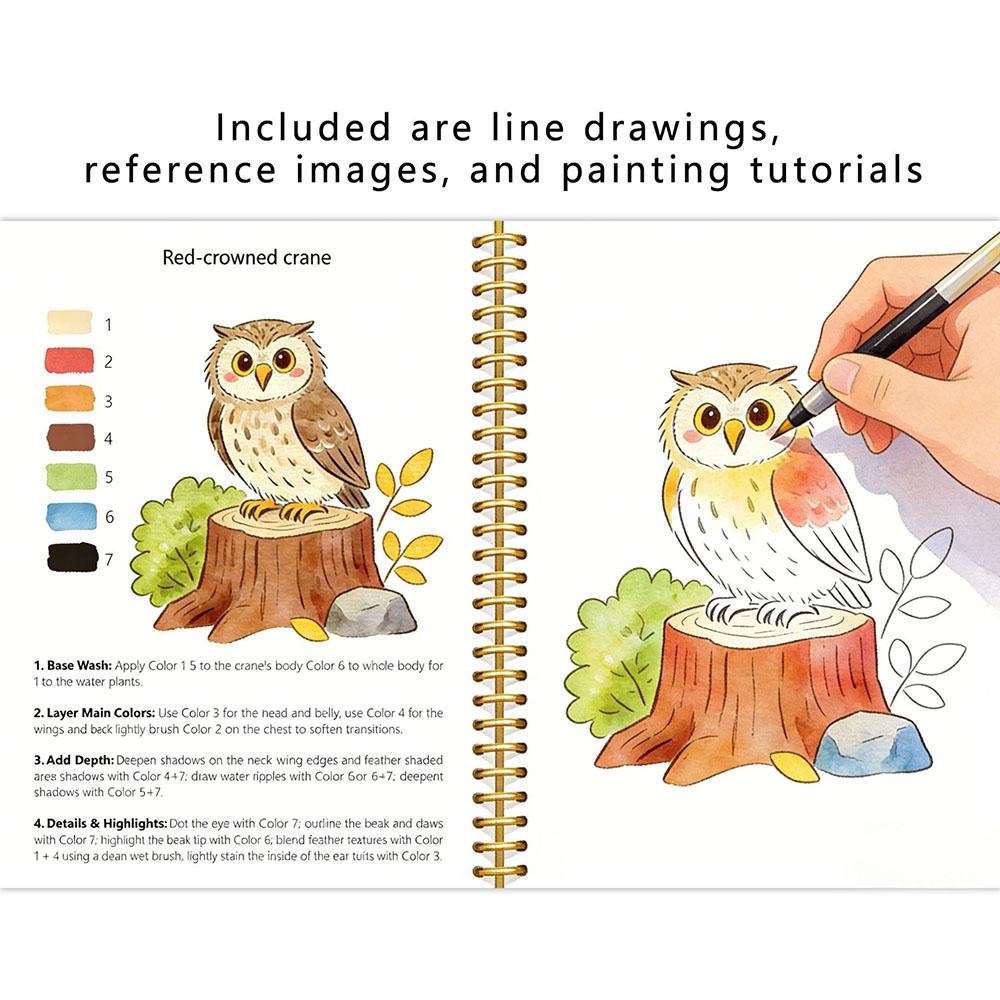 Watercolor Workbook Drawing Coloring Book