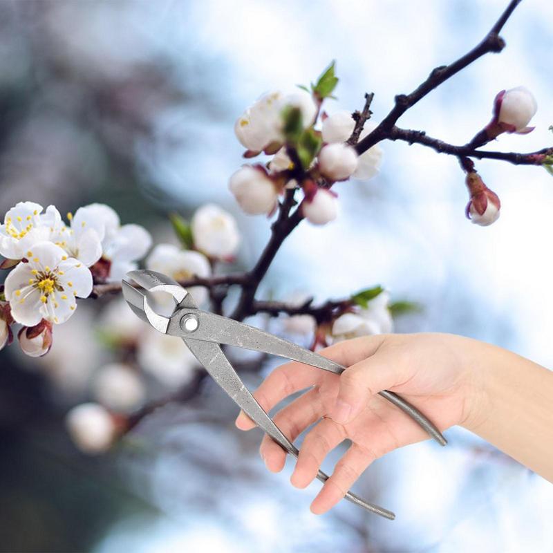 Bonsai Knob Cutter Concave Edge Cutter Root Cutting Pliers Ball Shear Scissors Landscape Modeling Garden Bonsai Tools 210mm