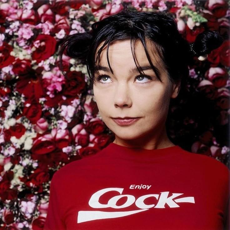 Enjoy Cock Bjork Tshirt Bjork TShirt Vintage Unisex Bjork Logo Tee Unisex Tee Unisex T-Shirt XL