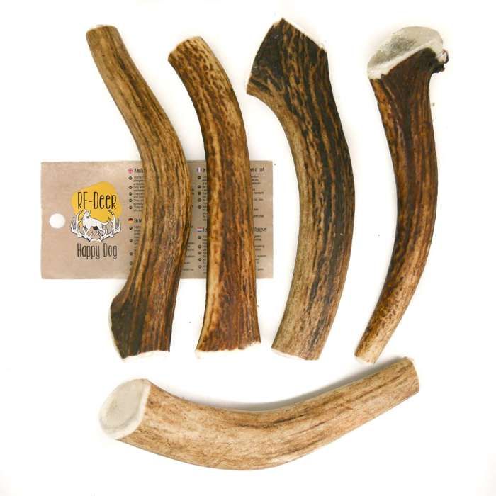 Jouet à mâcher - rf-deer - bois de cerf élaphe xl - 100% naturel - durable - sûr