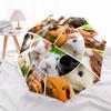 1 Stück Automatischer Faltregenschirm - Meerschweinchen-Muster, Tragbares & Faltbares Design mit 8 Speichen, Weihnachts-Geburtstagsgeschenke