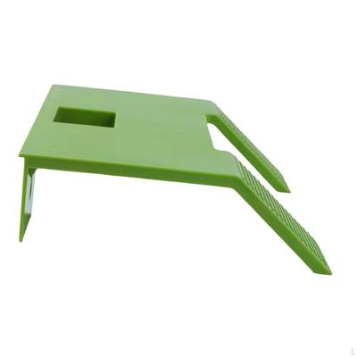 Sürüngen – Sürüngen Terraryumları