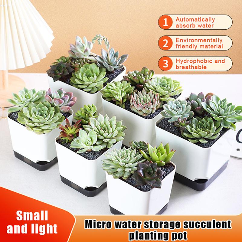 5 Stück Pflanztöpfe Selbstbewässernde Blumentöpfe Selbstbewässernde Pflanzgefäße Mit Abflussloch Transparente Untertasse Reservoir Für Zimmer-Sukkulenten
