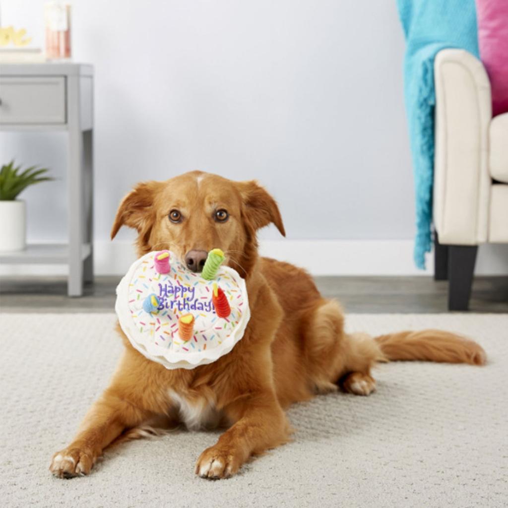 Birthday Cake Stuffed Toy Funny Soft Birthday Cake Chew Toy for Dogs Cats 7.87x8.27in