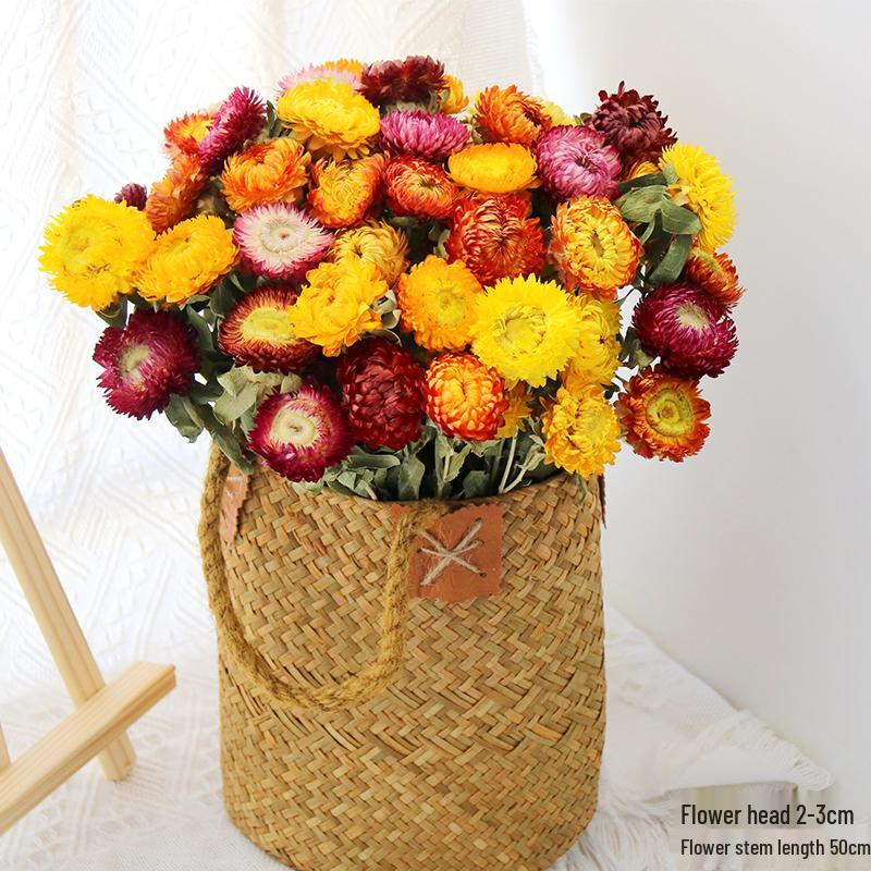 Daisy Dried Flower Bouquet for Living Room and Bedroom Décor - Natural Yunnan Flowers for Display or Photo Props