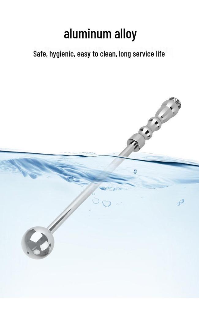 Metal Anal Dilator & Dual-Use Butt Plug for Expansion Training
