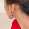 Leopard Print Hoop Earrings With Enamel Finish Fashionable Design For Women Lightweight And Allergy Resistant