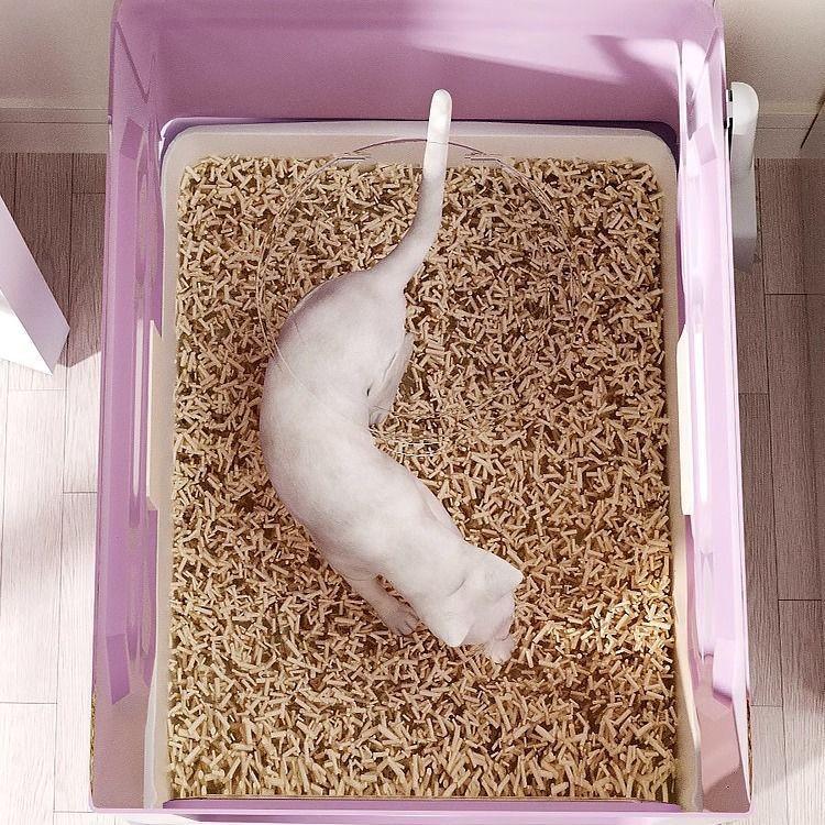 Pull-Out Cat Litter Box with Odor-Blocking Drawer and Full Enclosure