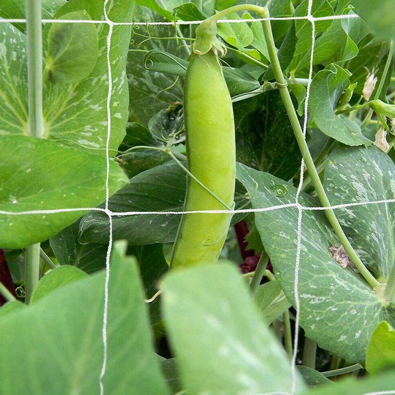 Plants Climbing Net Garden Heavy-Duty Plant Support Stand For Flowers Vegetable Orchard Cucumber Vine Netting Garden Supplies