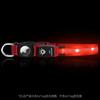 Waterproof Glowing Dog Collar with AirTag Holder, 2-in-1 Rechargeable LED Pet Collar for Night Safety & Tracking, Lasts Up To 8 Hours