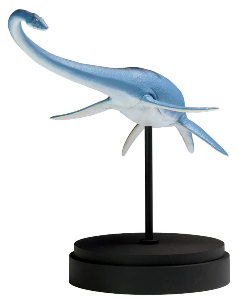 Wave Futabasaurus Ryu Total length 23cm Plastic model Molded color 1/35 approx. OG-031