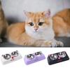 Stainless Steel Cat Food Container Large Capacity Pet Drinking Bowl Cute Double Pet Bowl Home