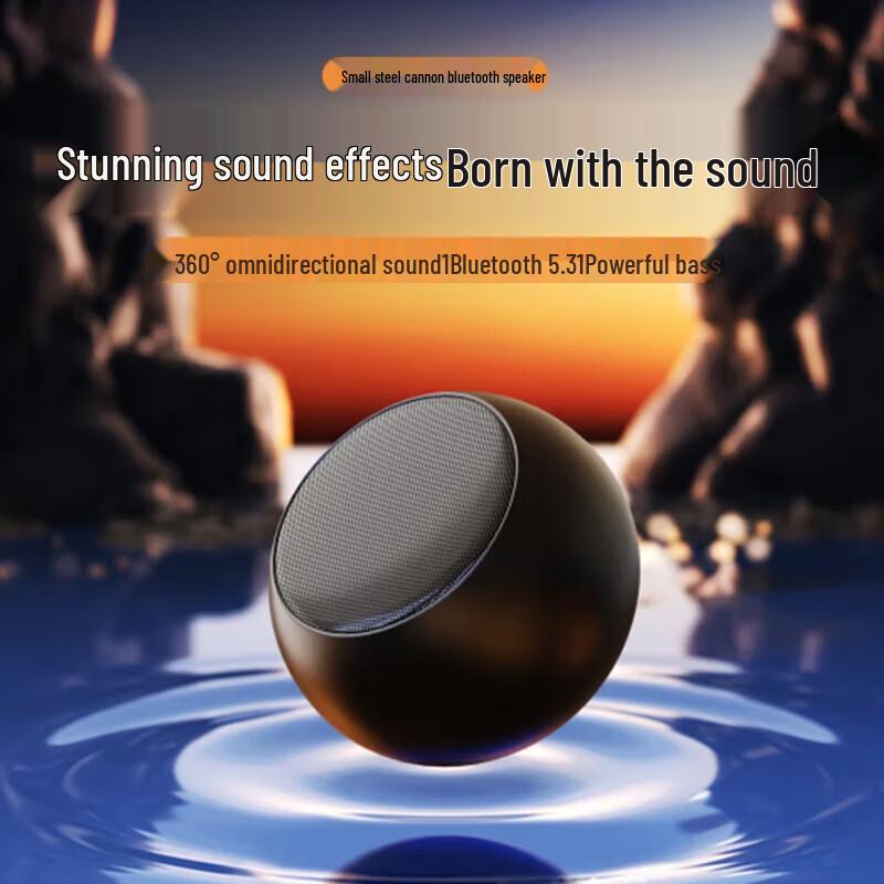 Sayrelances Portable Bluetooth Speaker Subwoofer DZ-017 CN plug (adapter included) (CN version)