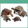 Childrens Pvc Land Turtle Model Static Figurine With Realistic Design For Collectors And Kids