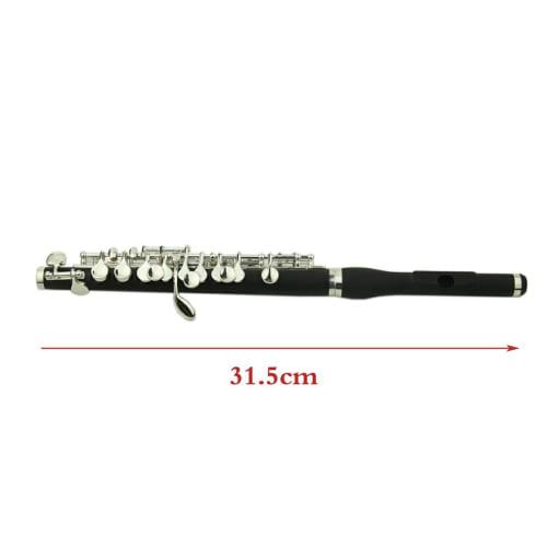 Tachiuwa C Key Flute with Carrying Case and Cleaning Cloth, Beginner Kids Gift