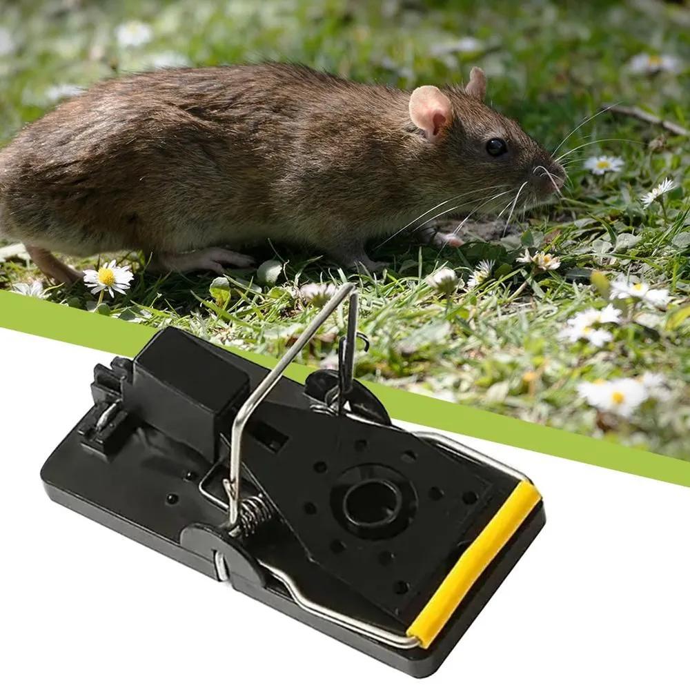 Mouse Trap Kit Pied Trap High Quality Easy Safe Platoon