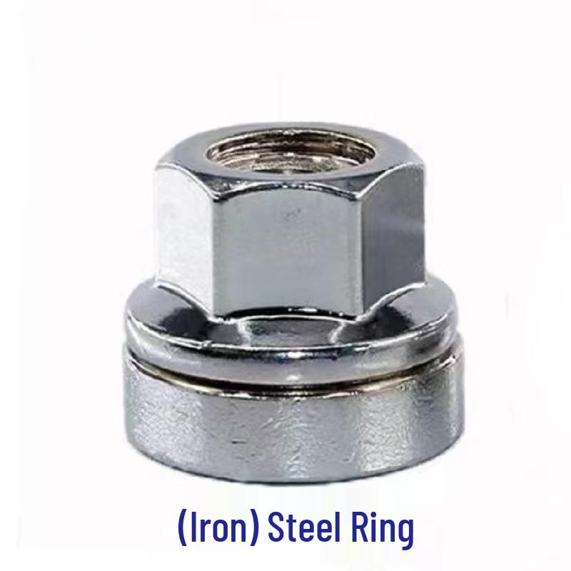 

Compatible Tire Screws and Hub Cap Nuts for Ford Transit V348