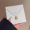 Model X003 Titanium Steel Necklace