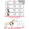 Dog Leash Vest Pet Nylon Chest Back Carry Pet Supplies Travel Accessories Reflective Design Portable Leads Pet Chest Back Leash
