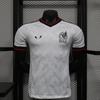 Mexico Mexico Player Version Jersey National Team Short-Sleeved T-Shirt Football Jersey
