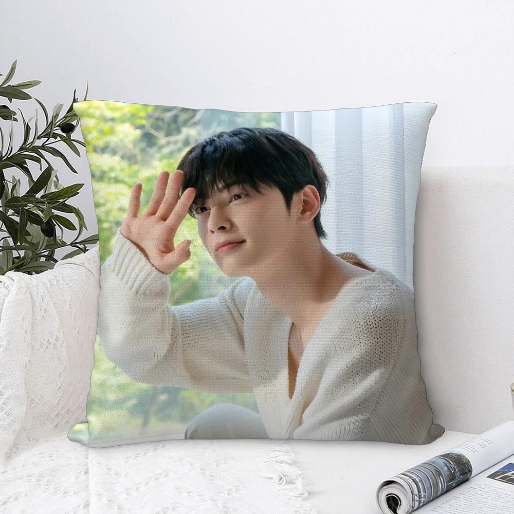 Kpop Singer Cha E-Eun W-Woo Pillow Case Plush Fabric Soft  Pillowcase Double Sided Print   Cushion Cover Throw Pillow Cover
