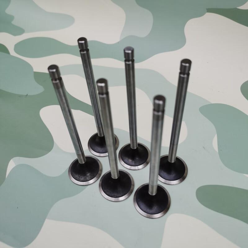 EQ1120GA Engine Intake/Exhaust Valve