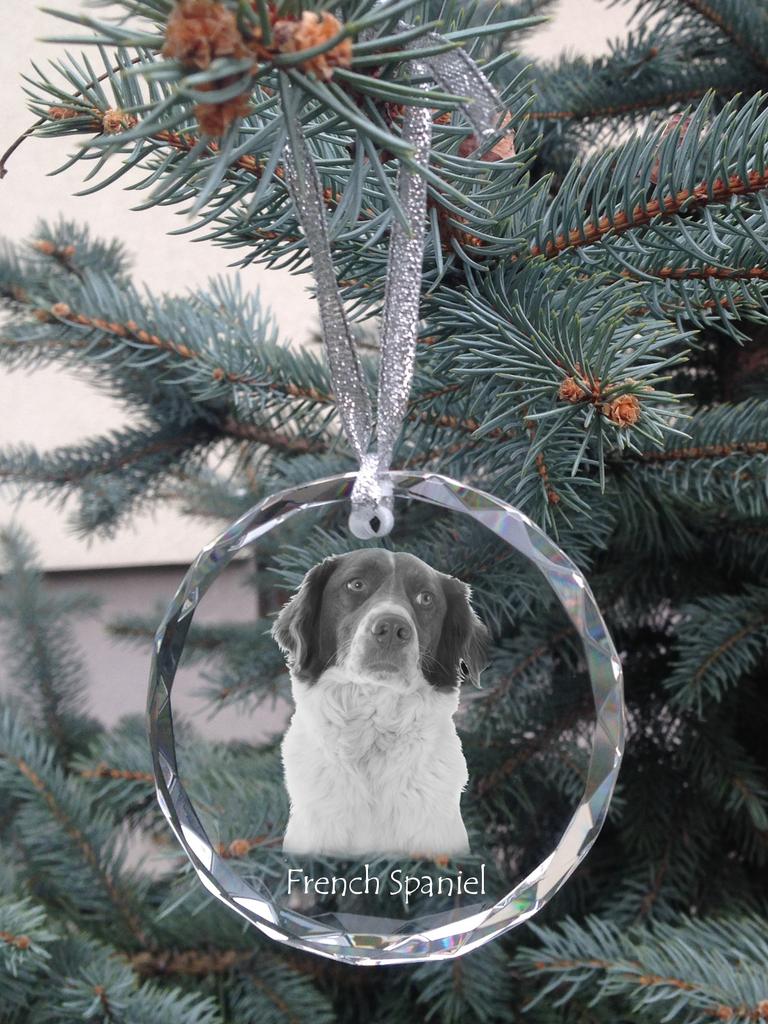 French Spaniel, French Setter - Crystal Bauble with a Photo, Dog Photo In Crystal, Personalized Christmas Tree Ornament by Art-Dog Brand