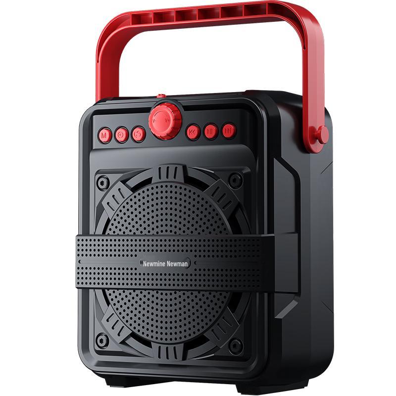 Newmine Portable Bluetooth Karaoke Speaker