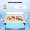 6L Servírovací tác na ledové potraviny s opakovaně použitelným ledovým boxem, Nerezový chladicí bufetový talíř na salát, sushi, mořské plody, párty