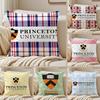 Princeton University Pillow Case Silky Elegant Comfort Sofa Bed Invisible Zipper