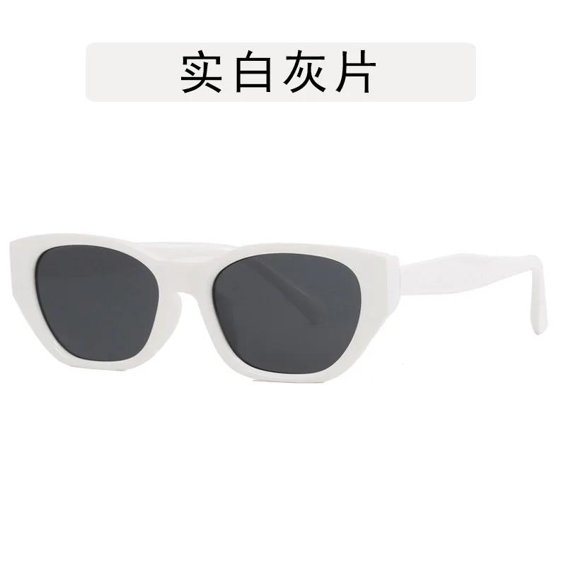 New Trendy European American Cat Eye Sunglasses Woman Fashionable Sunglassess Man Outdoor Skiing Casual Sunglasses