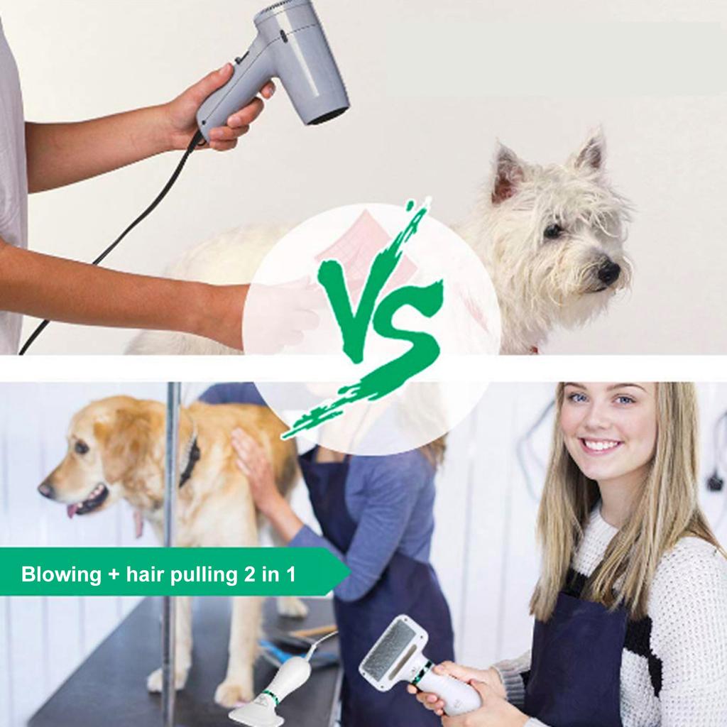 Buy Pet Hair Dryer 2 In 1 Pet Grooming Hair Dryer, Dog Slicker Brush