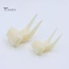 Bird Feeding Fork Food Feeder for Cage, Parrots Cage Holder Fruit Enrichment Fork, Vegetable Tool Forks Cockatoos Treats For Birds