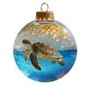 3D Animal Christmas Ball Ornament Funny Dog/Cat/Turtle Hanging Decoraton Clear Plastic Xmas Balls Ornament